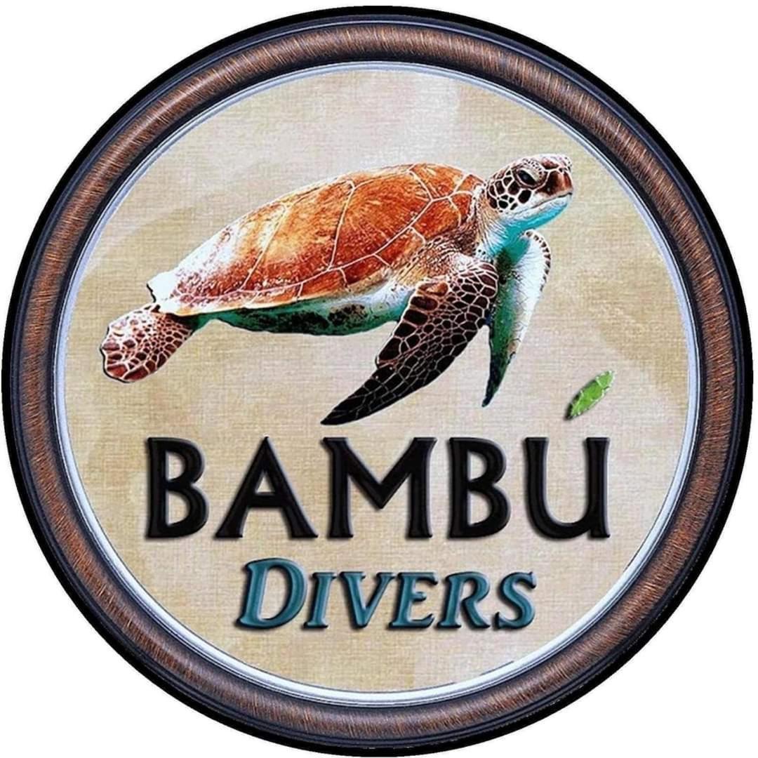 Pondok Bambu Resort - 5 Stars Padi Dive Centre تْشانديداسا المظهر الخارجي الصورة